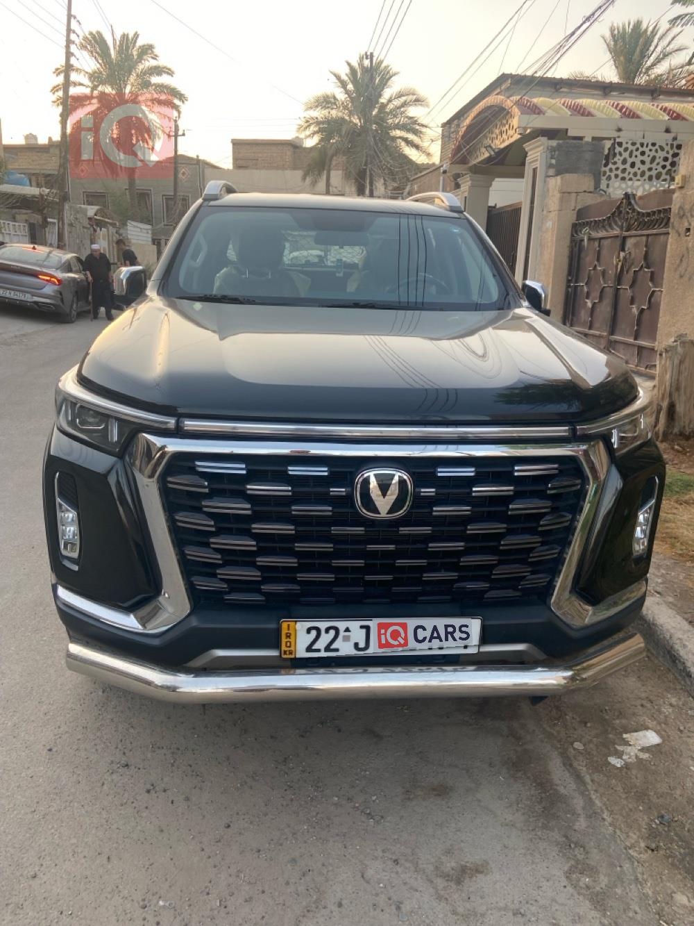 شانجان للبيع في العراق